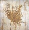 76" Au Palm Frond Mural #8348 by Fossils