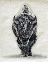 Snow Bison (Medium) by Pete Zaluzec