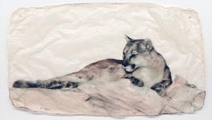 Cougar #3 (Small) by Pete Zaluzec