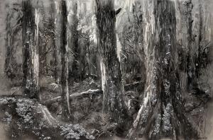 Magical Forest by Michael Rozenvain