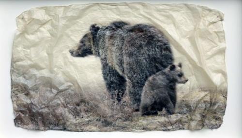 Bear Behind (Small) by Pete Zaluzec