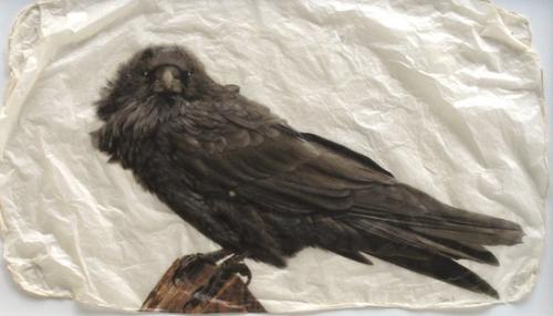 Raven (Small) by Pete Zaluzec