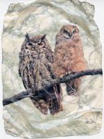 Owls by Pete Zaluzec