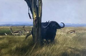 Cape Buffalo by Michael Coleman