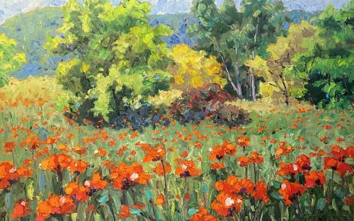 Rocky Mountain Poppies by Graydon Foulger
