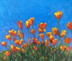 California Poppies by Graydon Foulger